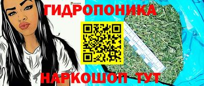 шишки Тулун